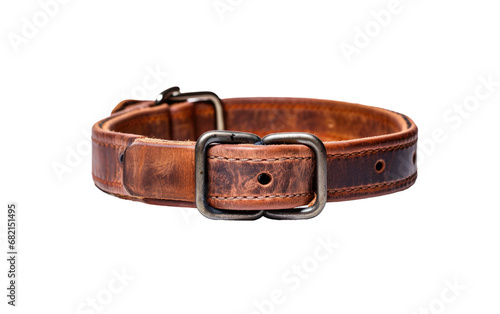A Close up of an Isolated Dog Collar Captured in this Real Photo Isolated on a Transparent Background PNG.