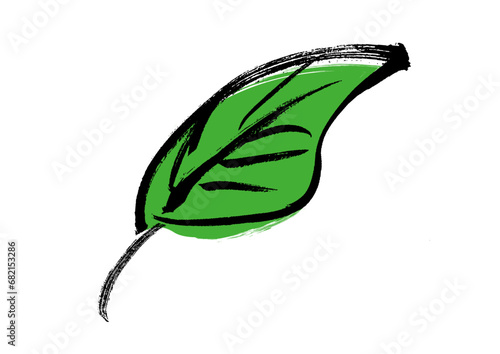Green leaf,hand drawn,brush paint,grunge,vector