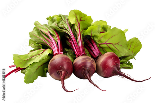 Fresh Beetroot on Clear Background. Vegetable Clipart: Leafy Beets