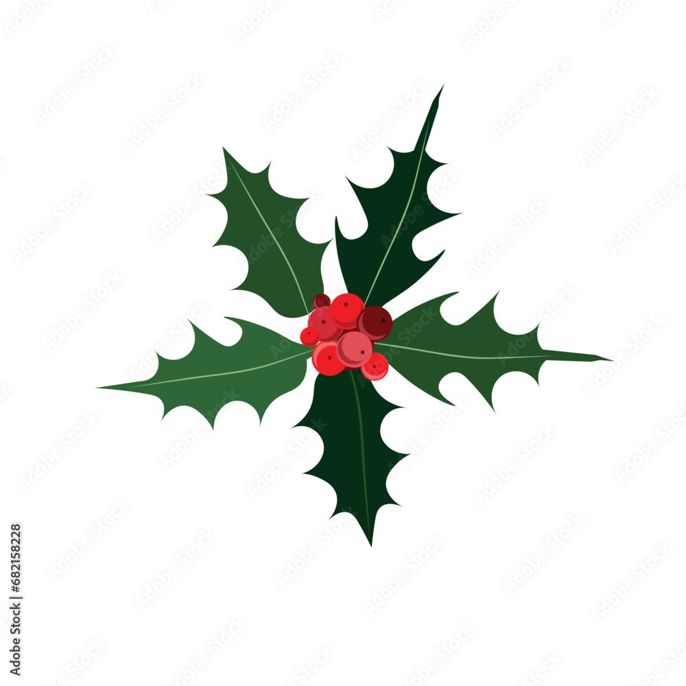 Holly. Green leaves, red fruits on a white background stock vector illustration design element for web, for print Holly. Green leaves, red fruits on a white background stock vector illustration design element for web, for print