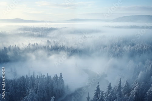 frozen snowy forest landscape with frosty haze, aerial view