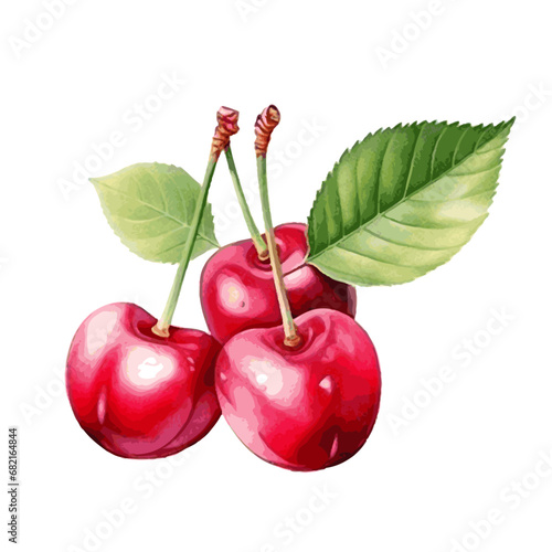 red sweet fruit cherry watercolor paint
