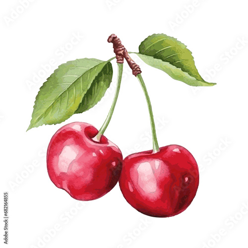 red sweet fruit cherry watercolor paint