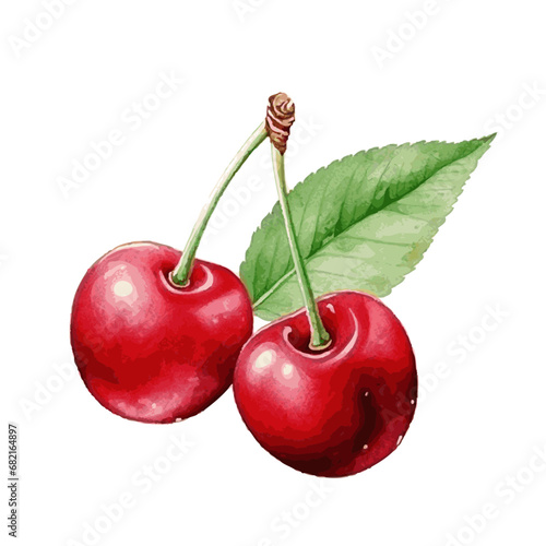 red sweet fruit cherry watercolor paint