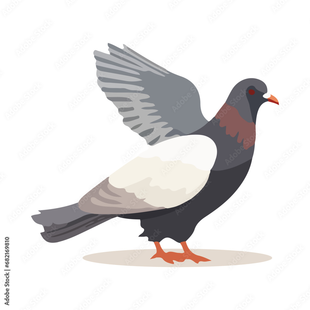 Obraz premium Cartoon pigeon isolated on white background. Cartoon style. Vector illustration.