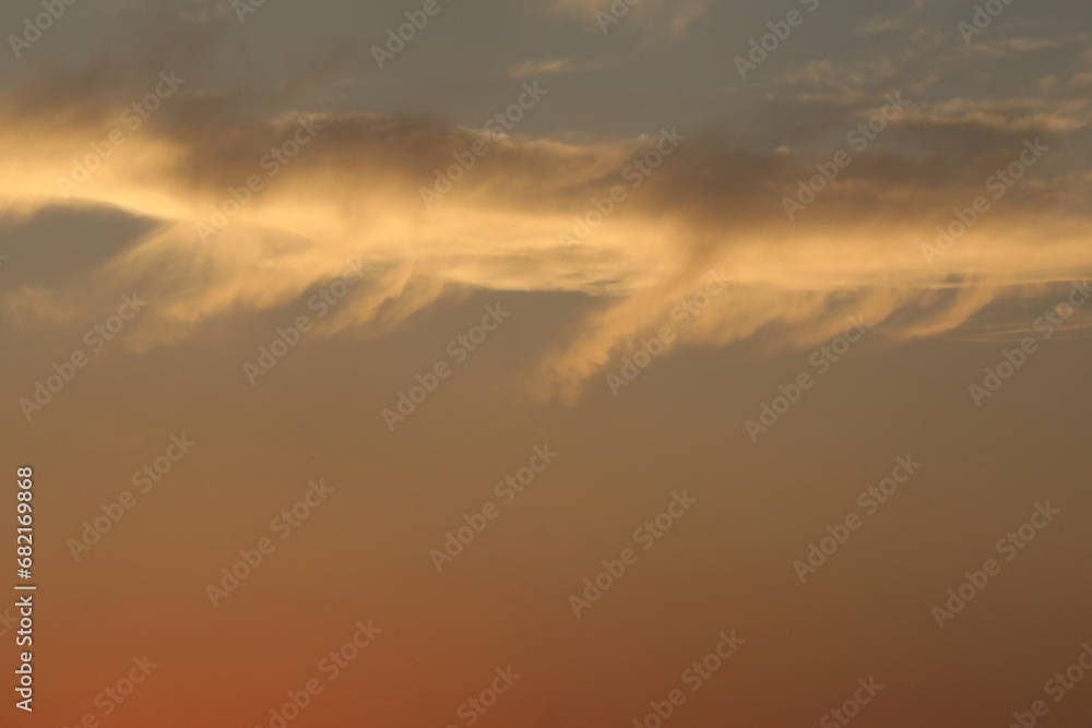 Obraz premium A sunset with a tree in the foreground and a skyline