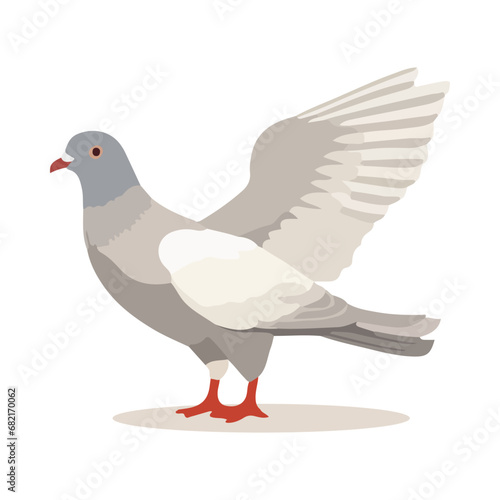 Pigeon bird isolated on white background. Cartoon style. Vector illustration. © Alody