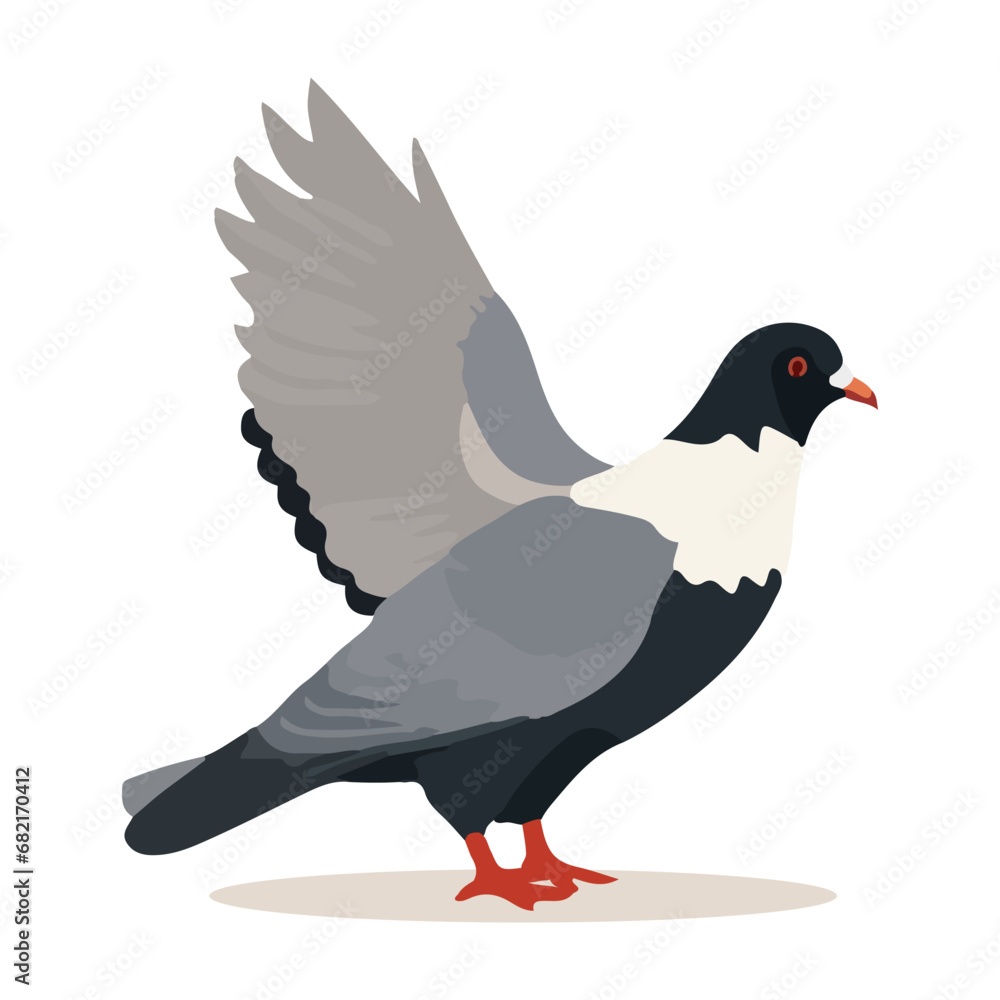 Obraz premium Cartoon pigeon isolated on white background. Cartoon style. Vector illustration.