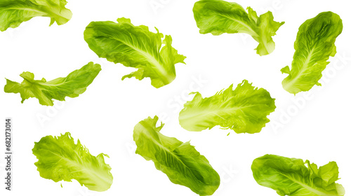 Levitation of green lettuce leaves  isolated on transparent background, png
 photo