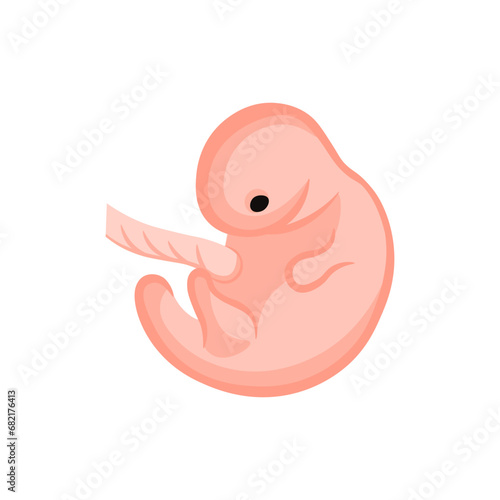 vector illustration. Flat icon pregnancy 7 week