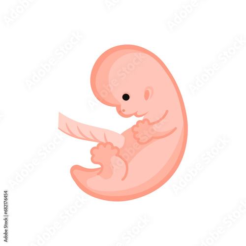 vector illustration. Flat icon pregnancy 8 week