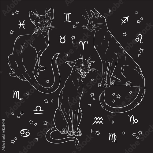 Black cats witch familiar spirit set halloween or pagan witchcraft theme print design vector illustration