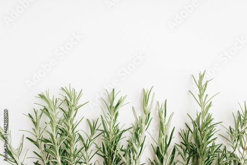 Sprigs of fresh rosemary on a white background.