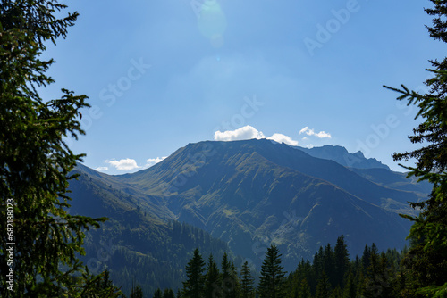 Konstfotografi Ein weites Bergpanorama unter strahlend blauem Himmel, eingerahmt von dunklen Nadelbäumen im Vordergrund, die den Blick auf die sanft abfallenden, grün bewachsenen Hänge freigeben