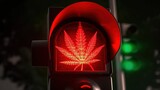 Cannabis leaf on red traffic light. Cannabis and marijuana prohi