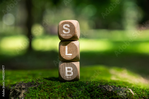 SLB - fixed income instrument, Bond where its financial or structural characteristics are tied to Sustainability ESG, Social projects or a combination of both are called Green bond. photo