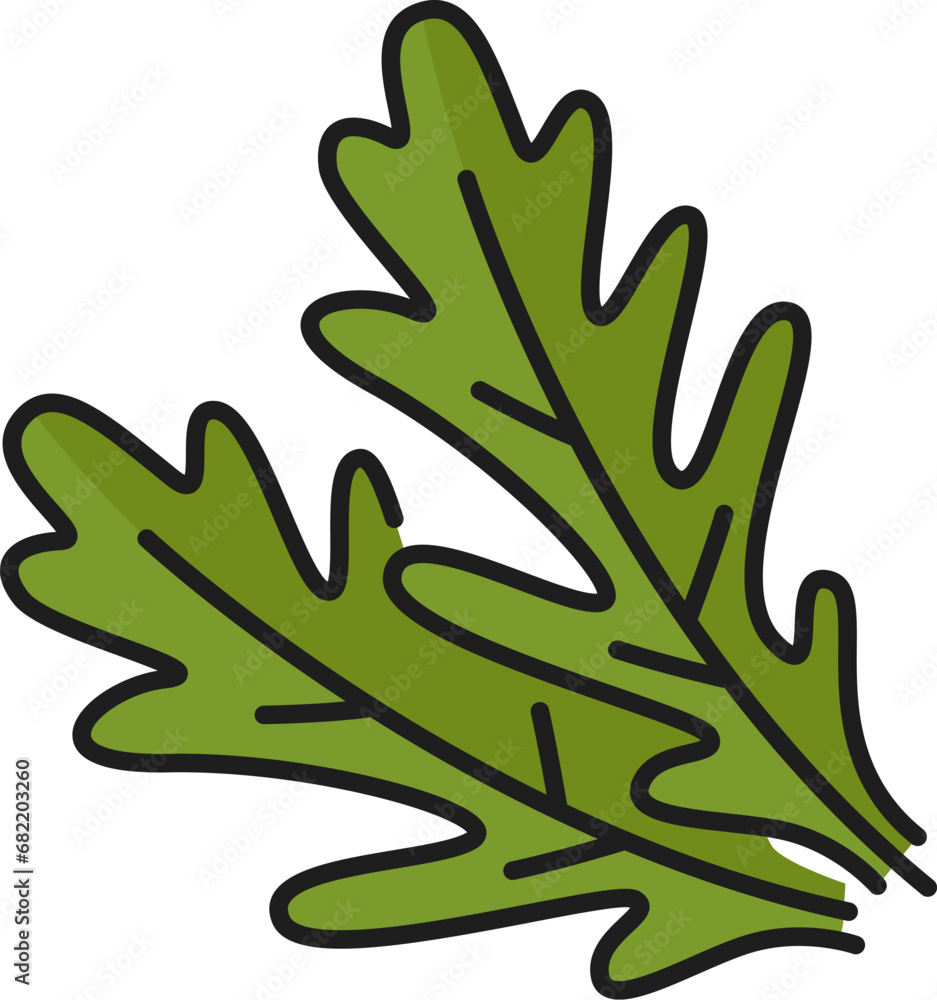 Fresh green arugula leaf herb outline icon. Vector rocket plant leaves, salad ingredient, organic vegetarian seasoning, fresh arugula herb Fresh green arugula leaf herb outline icon. Vector rocket plant leaves, salad ingredient, organic vegetarian seasoning, fresh arugula herb