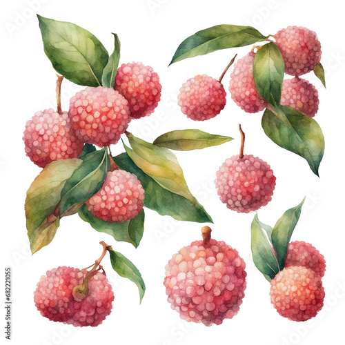  watercolour lychee