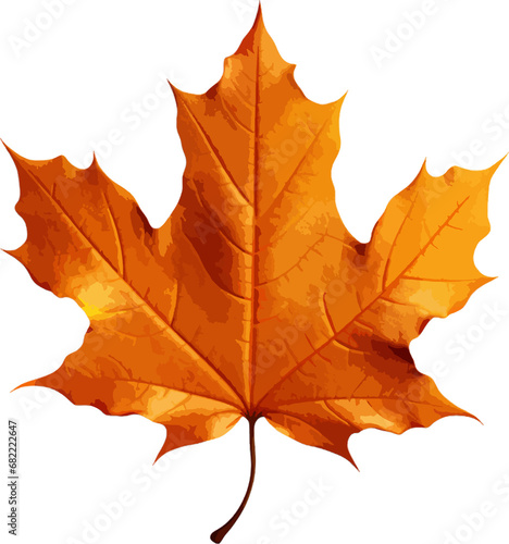 Autumn leaf clip art