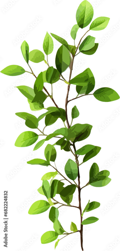 Branch of green leaves clip art