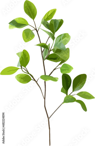 Branch of green leaves clip art