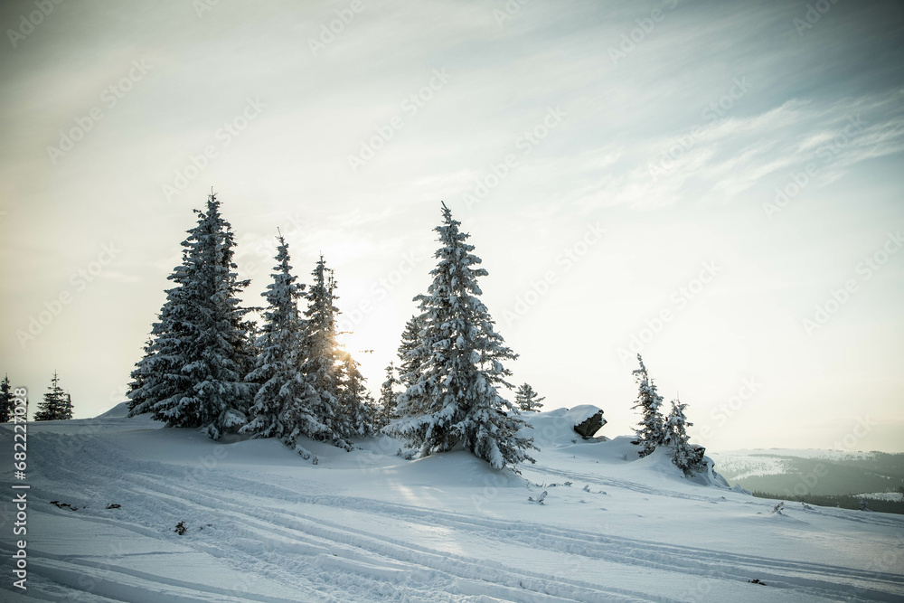 Fototapeta premium beautiful winter landscape with snowy fir trees