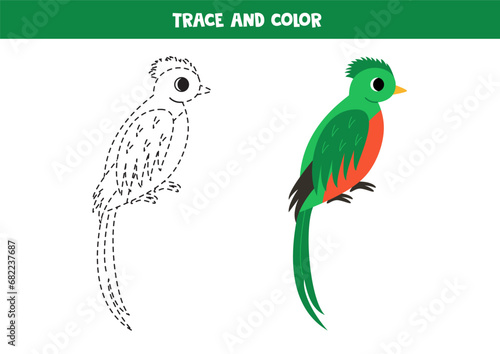 Trace and color cartoon quetzal bird. Worksheet for children.