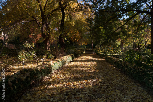 Droga, Natura, drzewa, zieleń, jesień, drewno, krajobraz, Sprężyny, park, Feuille, drewno, ślad, udać się, kraj, wiejski, Gras, odchodzi