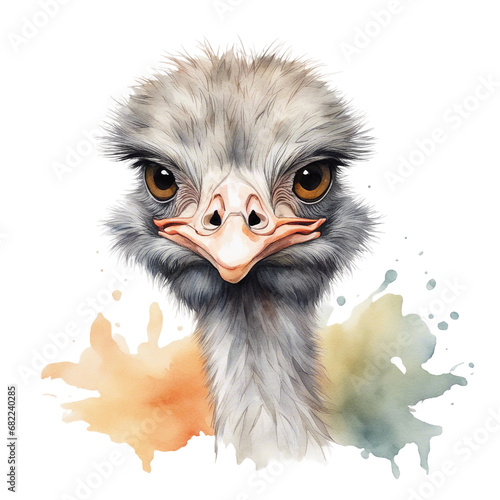  watercolour ostrich