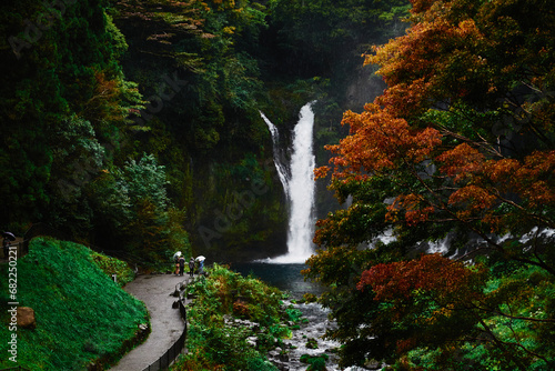Japanese Waterfall in Autumn, Shiraito Falls in Fujinomiya photo