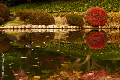 Autumn park with trees reflection in pond