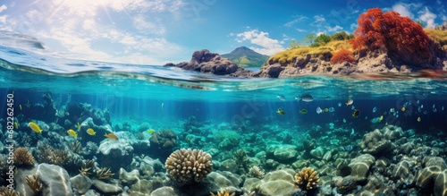 In Japan, travelers can explore the captivating beauty of nature, emerging themselves in the white sandy beaches and vibrant lagoons, where the underwater world unveils a rich diversity of marine life © 2rogan