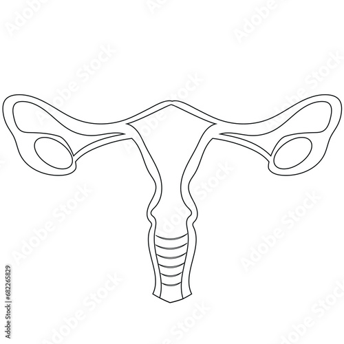 lineart logo of a healthy female organ namely the cervix