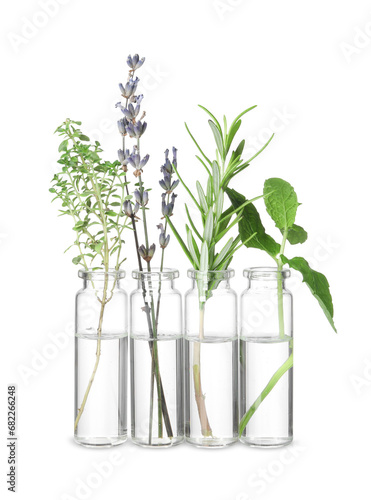 Bottles with essential oils and plants isolated on white