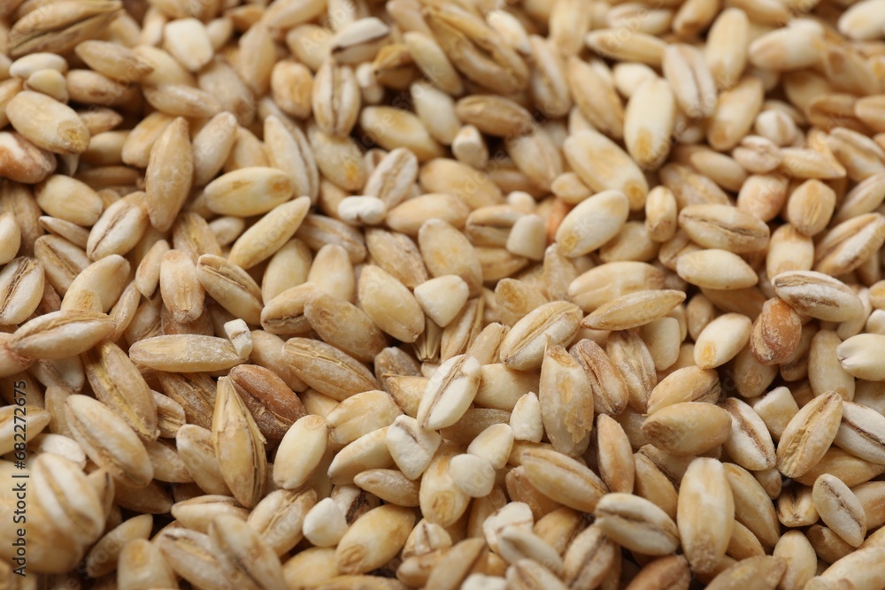 Dry pearl barley as background, closeup view Dry pearl barley as background, closeup view