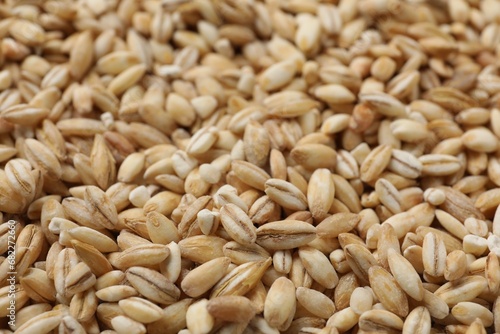 Dry pearl barley as background, closeup view