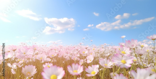 Blooming Flowers and Blue Sky with White Clouds