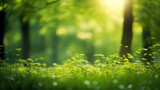 Green Trees and Sunlight: Abstract Nature Background