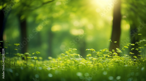 Green Trees and Sunlight: Abstract Nature Background