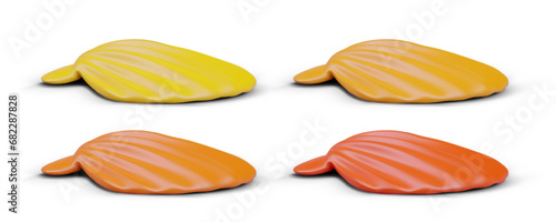 Scallop shell, side view. Set of illustrations in different colors. Realistic image. Element of oceanic, seabed. Templates for aquarium site. Icons for natural souvenirs shop