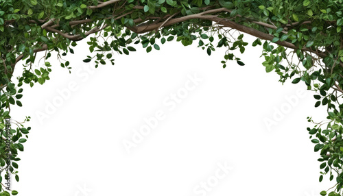 frame from branches of a tree isolated on transparent background cutout