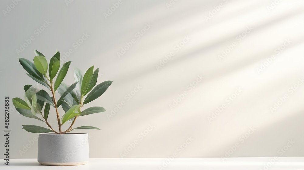 Minimalistic Nature: Tranquil Background with Blurred Foliage