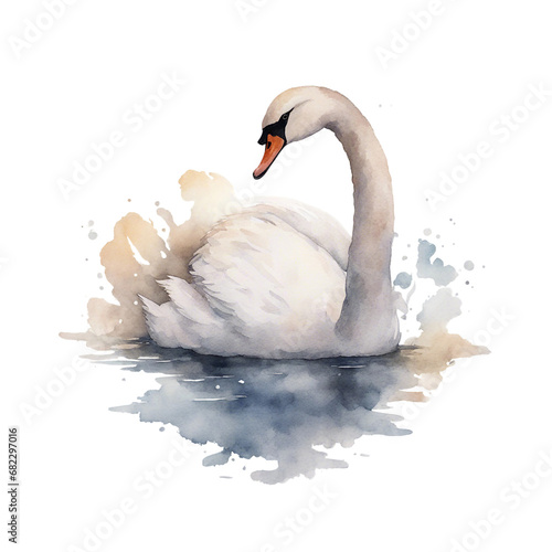 Fototapeta Naklejka Na Ścianę i Meble -  watercolour swan
