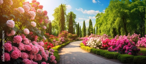In the vibrant landscapes of Country, people immerse themselves in the beauty of nature during summer travels, admiring the colorful floral designs and the lush green gardens, where rose bushes thrive photo