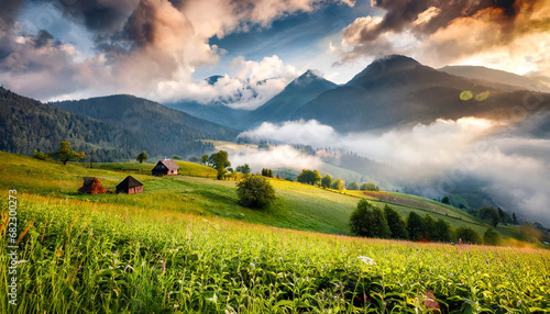 foggy summer landscape with green rural field in the alps with beautiful fresh green mountain pastures and mountain tops in the background rich harvest concept creative image carpathian mountains