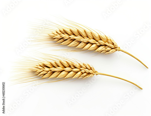 Close-up of Wheat Grains