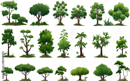 jungle trees set isolated vector style with transparent background illustration