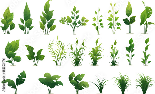 jungle vegetation set isolated vector style with transparent background illustration