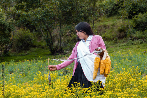 Mujer andina latinoamericana haciendo hilados de lana de oveja sosteniendo maíz en la mano en el aire libre, Cultura, estilo de vida saludable,