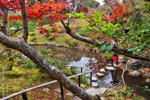 Isuien Garden in Nara, Japan photo